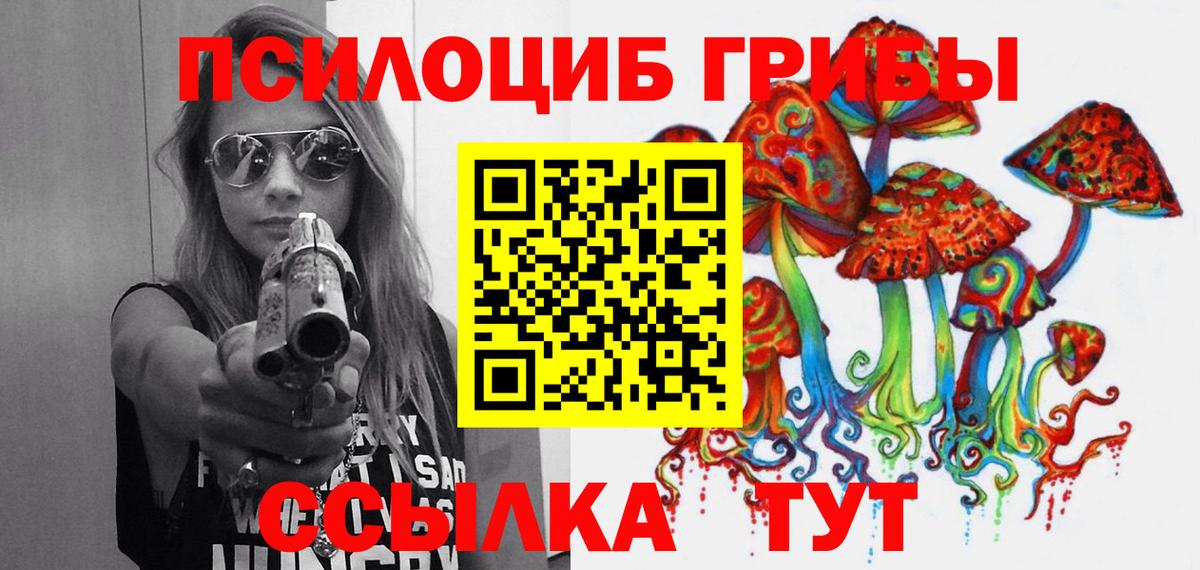Избербаш  Псилоцибиновые грибы Psilocybine cubensis  где найти наркотики  Вход с VPN 
